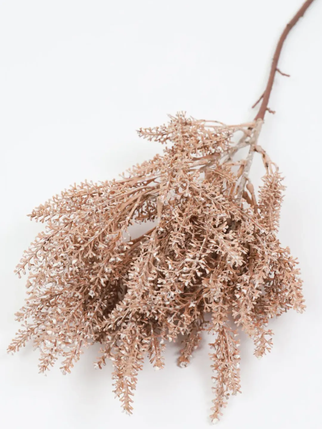Inspire Me! Home Decor Extra Long Stem Beige Pampas Grass Stem Floral Stems Sale