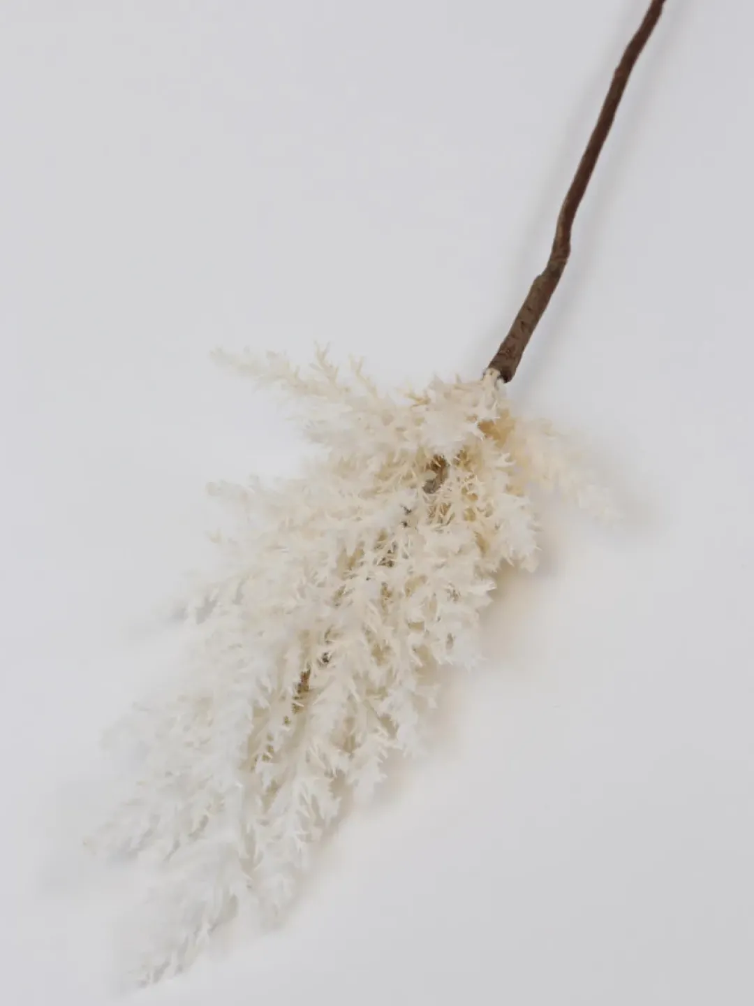 Inspire Me! Home Decor White Pampa Stem Fashion
